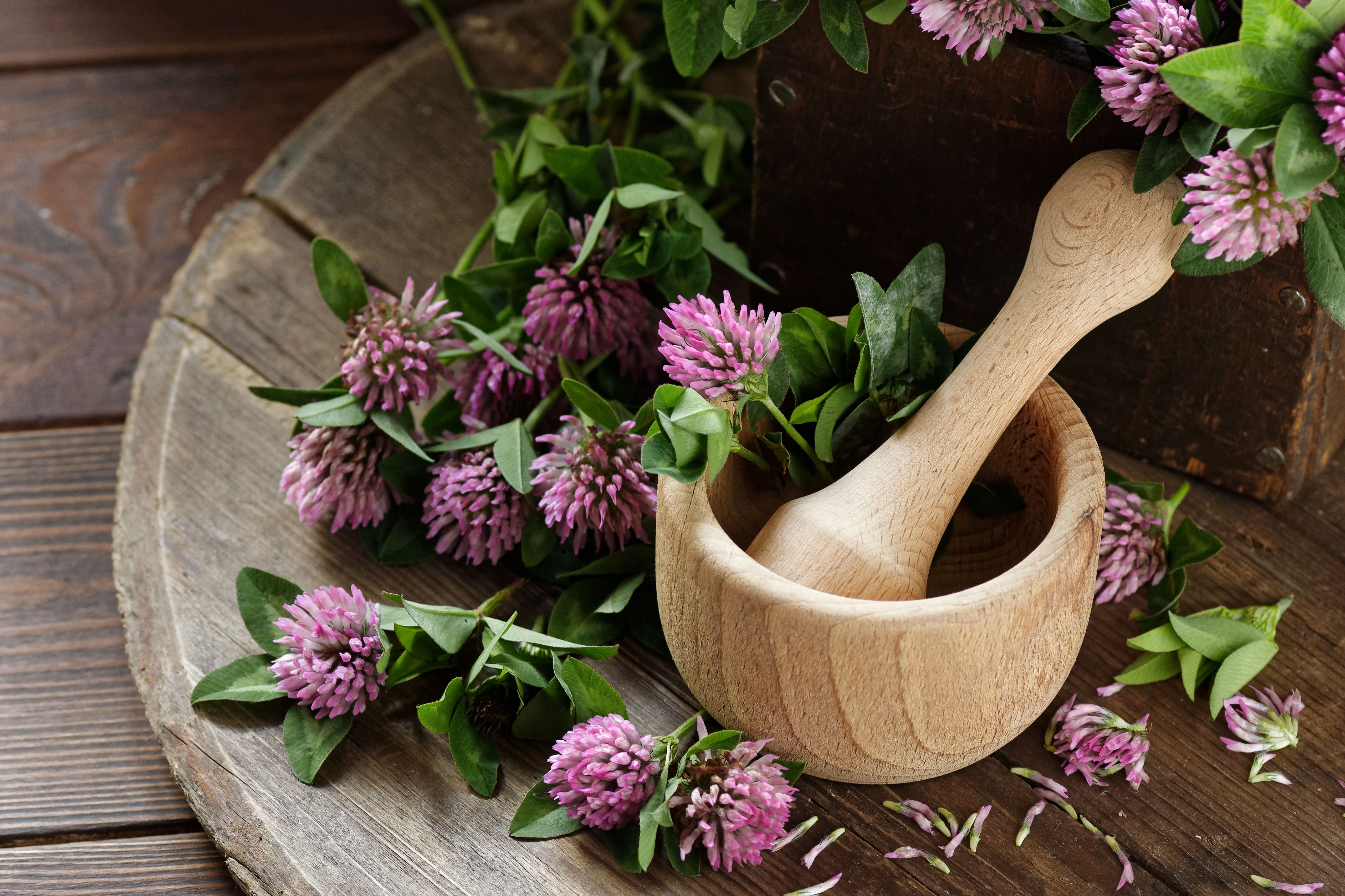 Red Clover Extract