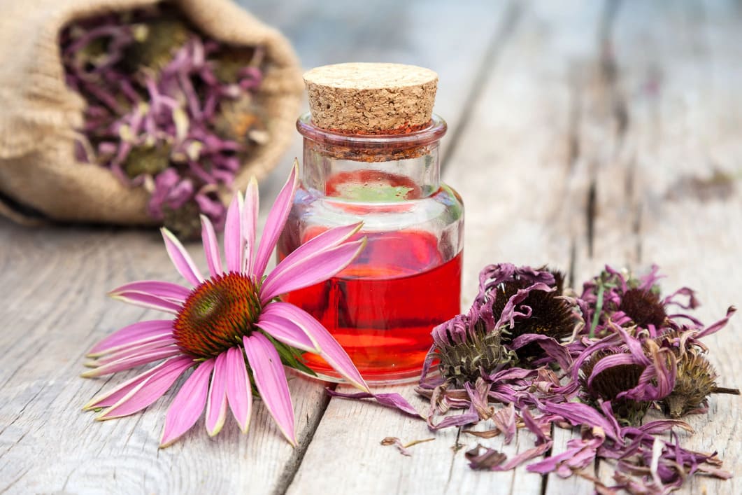 Bottle of red liquid Echinacea with a cork lid on a wooden surface surrounded by pink and purple flowers.