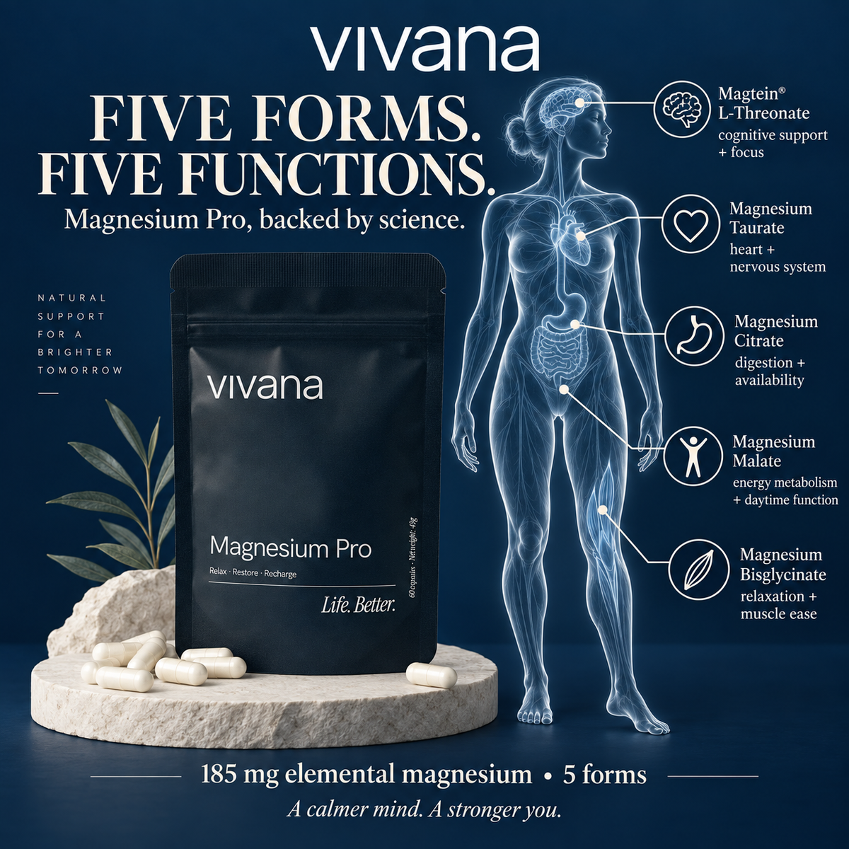 Vivana Magnesium Pro supplement pouch shown on a dark blue promotional background with an anatomical human figure and callout labels for five forms of magnesium, plus scattered capsules and a stone pedestal.
