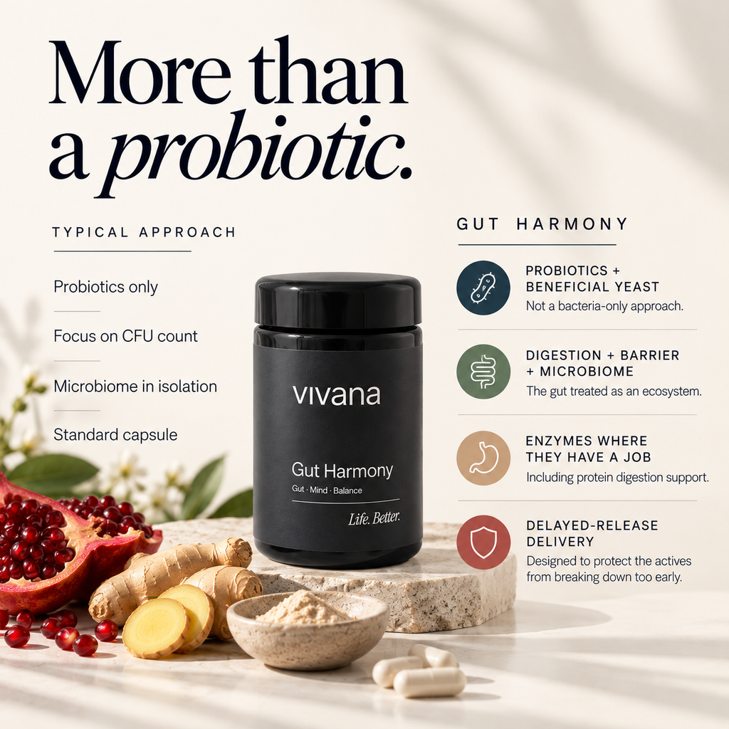 A black cylindrical supplement jar labeled 'vivana Gut Harmony' centered on a light beige background with marketing text, ingredient props including ginger, pomegranate, and capsules, and a soft shadow overlay.