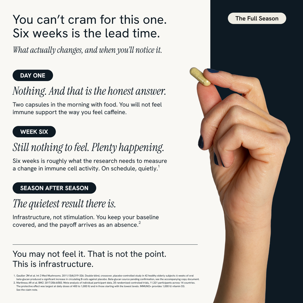 A promotional infographic for an immune support supplement, showing a hand holding a capsule on the right against a dark navy background, and text detailing a six-week timeline on the left on a white background.