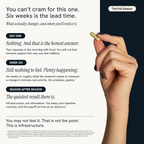 A promotional infographic for an immune support supplement, showing a hand holding a capsule on the right against a dark navy background, and text detailing a six-week timeline on the left on a white background.