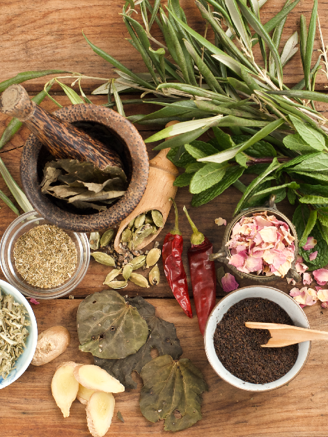 Olive Leaf Extract