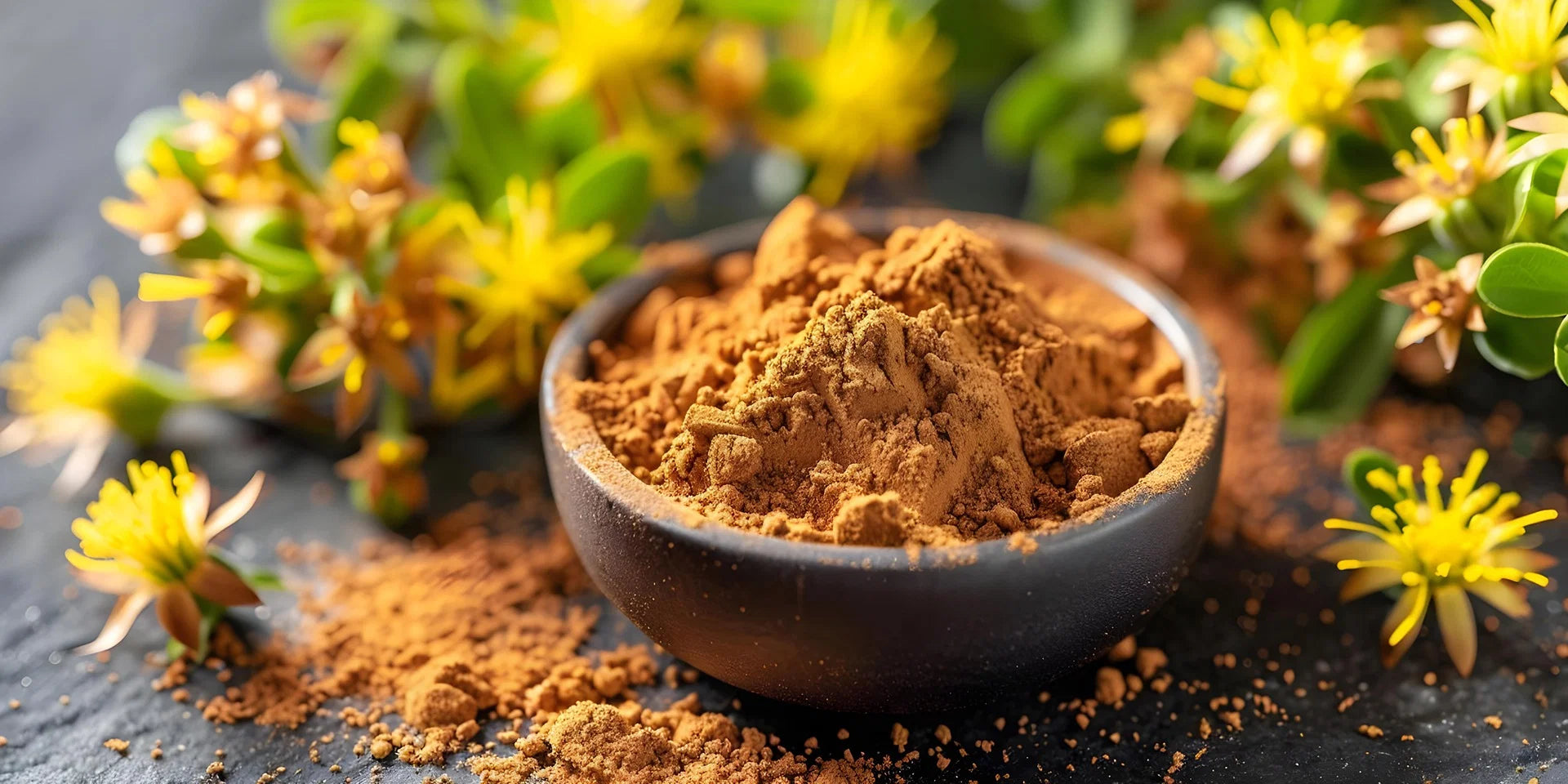 Rhodiola Rosea ingredient in Balance+