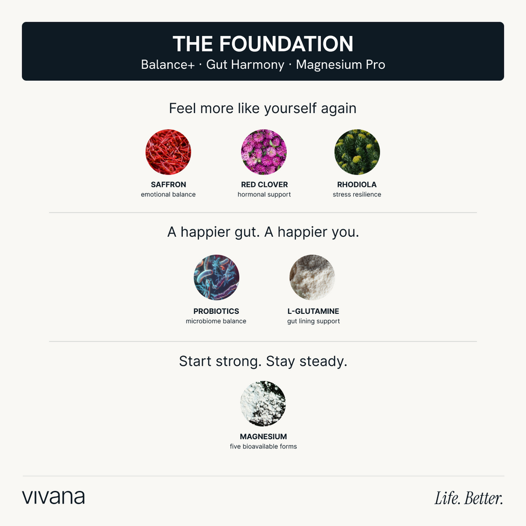 An informational marketing graphic for 'THE FOUNDATION' by vivana, detailing a supplement blend with benefits for emotional balance, gut health, and magnesium support. The graphic features circular product ingredient images (saffron, red clover, rhodiola, probiotics, L-glutamine, magnesium) on a clean off-white background with a dark navy header.