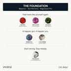 An informational marketing graphic for 'THE FOUNDATION' by vivana, detailing a supplement blend with benefits for emotional balance, gut health, and magnesium support. The graphic features circular product ingredient images (saffron, red clover, rhodiola, probiotics, L-glutamine, magnesium) on a clean off-white background with a dark navy header.
