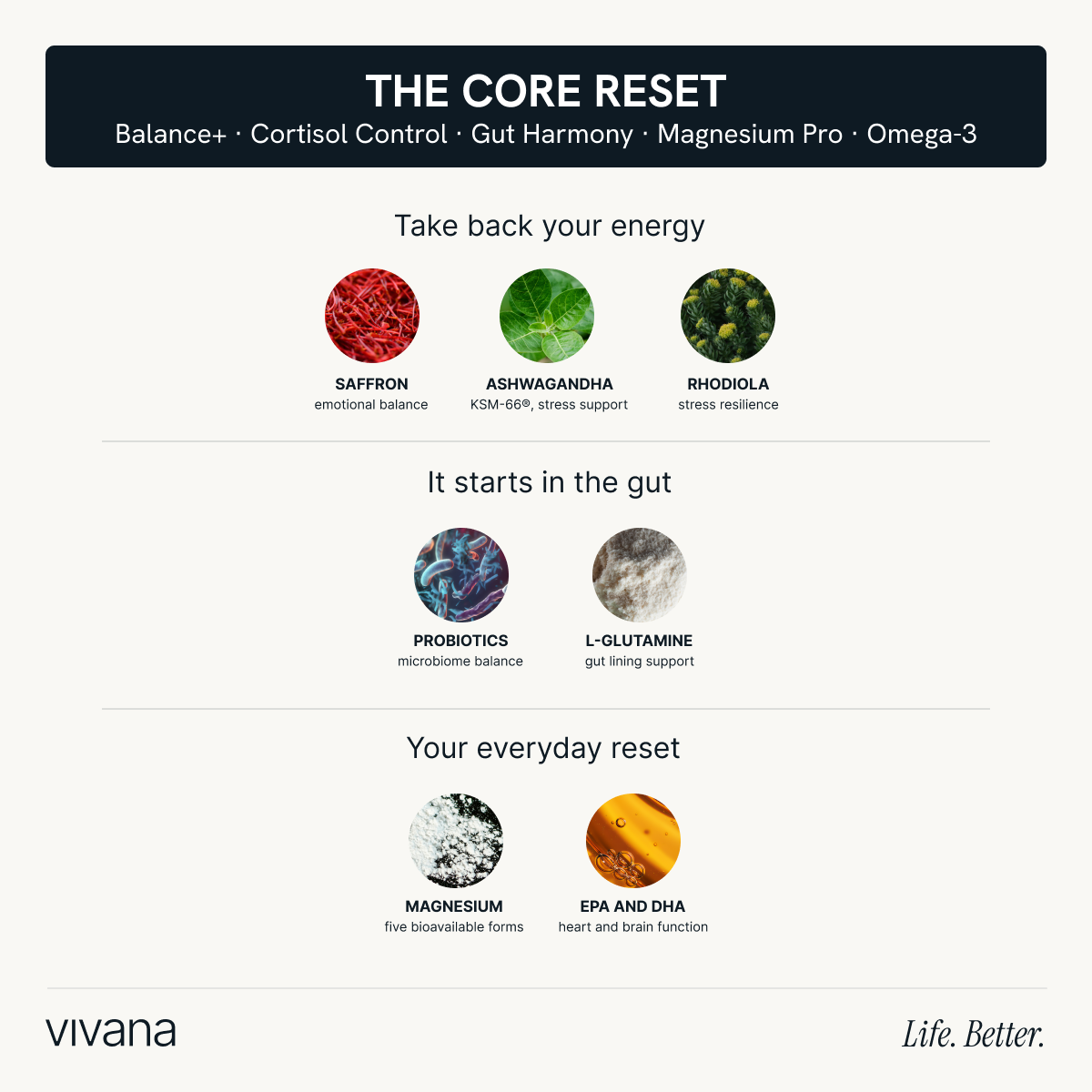 An informational graphic for 'The Core Reset' supplement by vivana, featuring a black header and a light beige background. It lists key ingredients like Saffron, Ashwagandha, Rhodiola, Probiotics, L-Glutamine, Magnesium, and EPA and DHA with small circular icons and text labels.