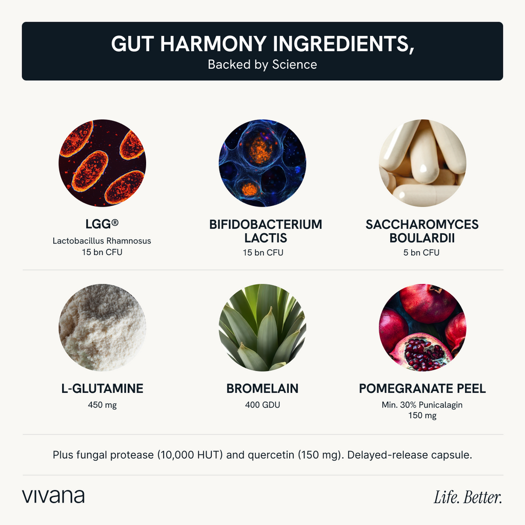 An informational graphic for Gut Harmony Ingredients by Vivana, showing six supplement components in a 2x3 grid: LGG, Bifidobacterium Lactis, Saccharomyces Boulardii, L-Glutamine, Bromelain, and Pomegranate Peel, each with a circular ingredient photo and text detailing the amount and benefits.